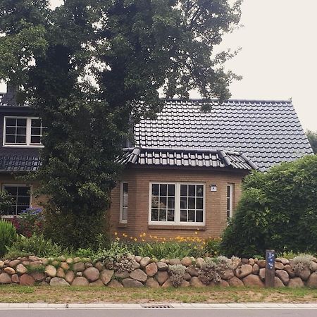 Ferienwohnung Hinz - Gemuetliche Unterkunft Fuer 2 Personen Mit Modernem Bad Ellingstedt 外观 照片